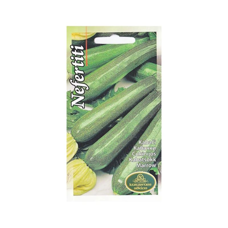 Sēklas kabači nefertiti