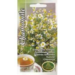 Sēklas kumelītes ārstnieciskas