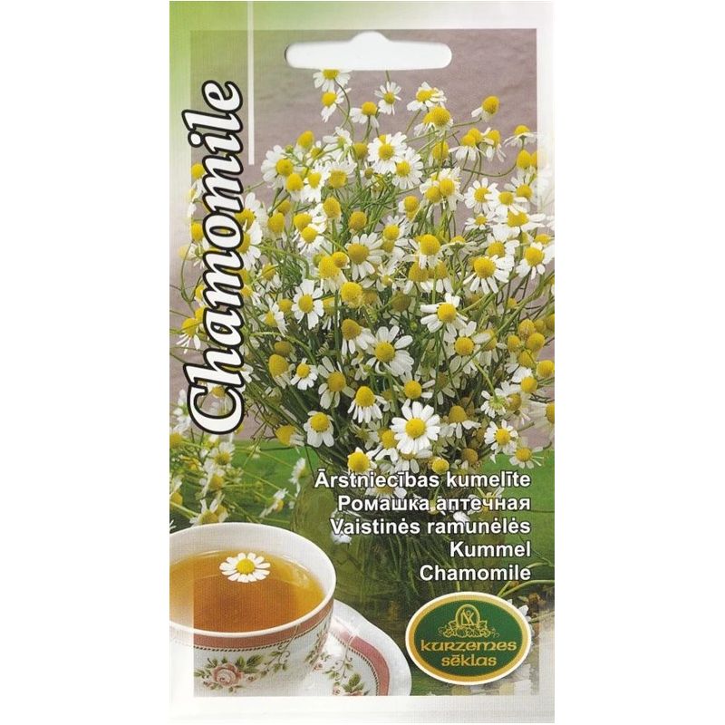 Sēklas kumelītes ārstnieciskas