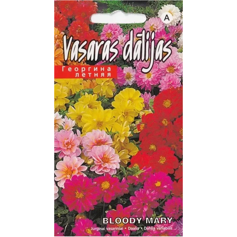 Sēklas Kurzemes sēklas dālijas Bloody Mary, 3 g