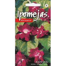Sēklas Kurzemes sēklas ipomejas Raffles Seeds, 4 g