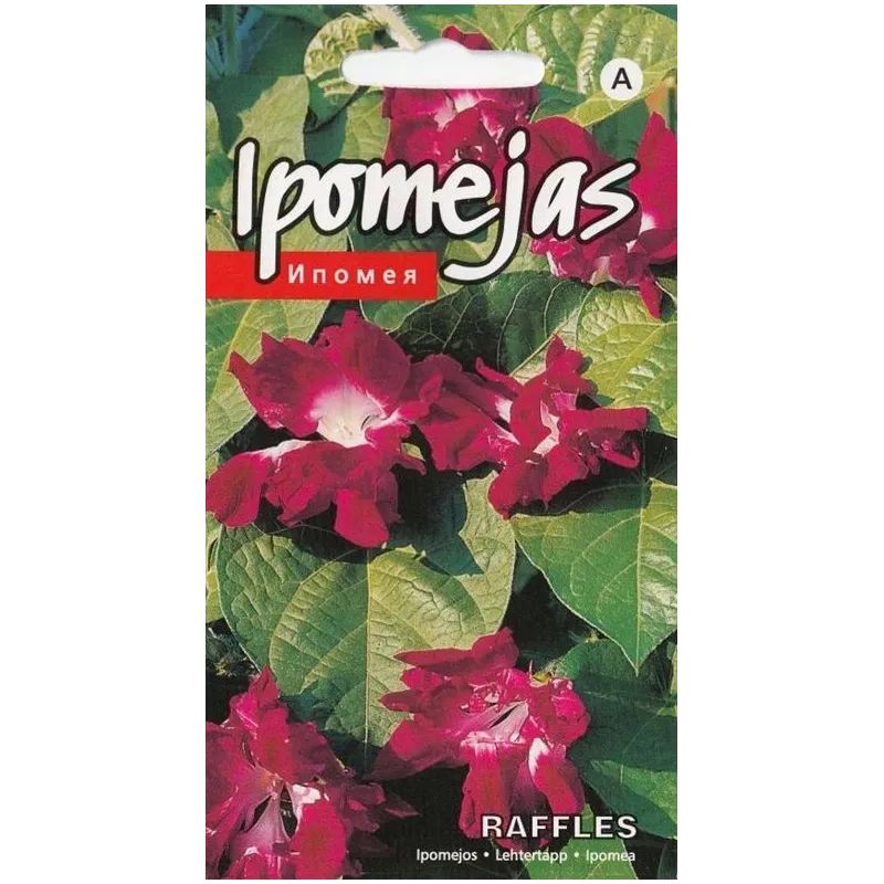 Sēklas Kurzemes sēklas ipomejas Raffles Seeds, 4 g