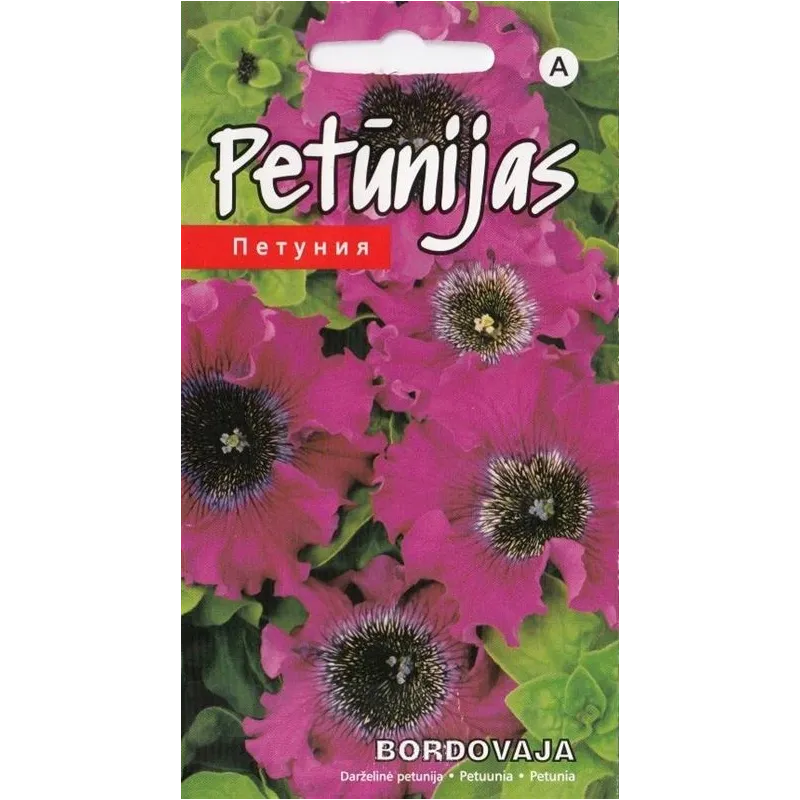 Sēklas Kurzemes sēklas petūnijas Bordovaja Seeds, 3 g