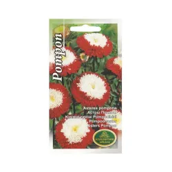 Sēklas Kurzemes sēklas asteres Pompon, 1 g