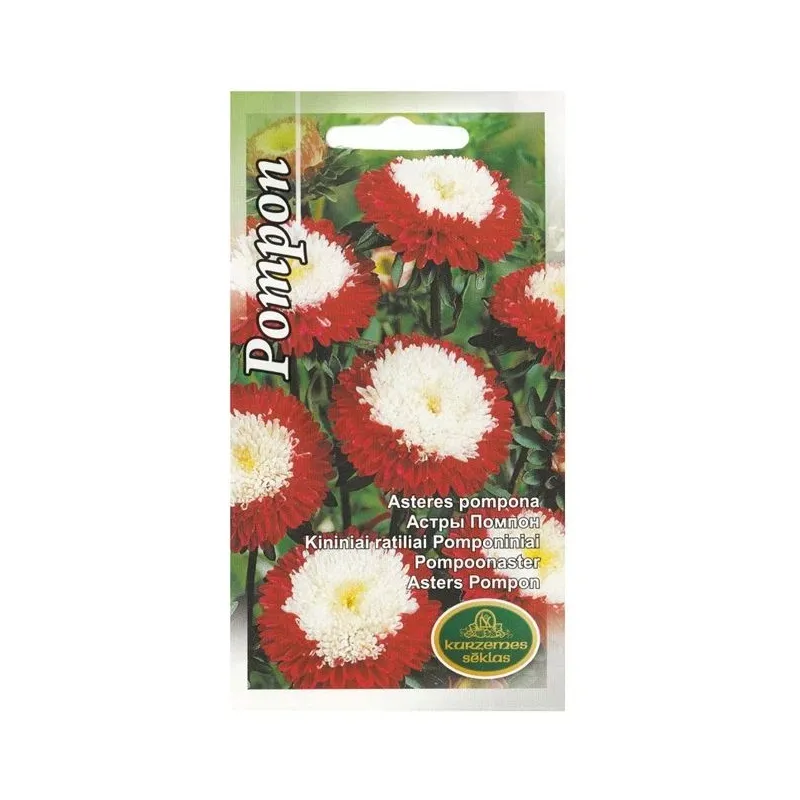 Sēklas Kurzemes sēklas asteres Pompon, 1 g