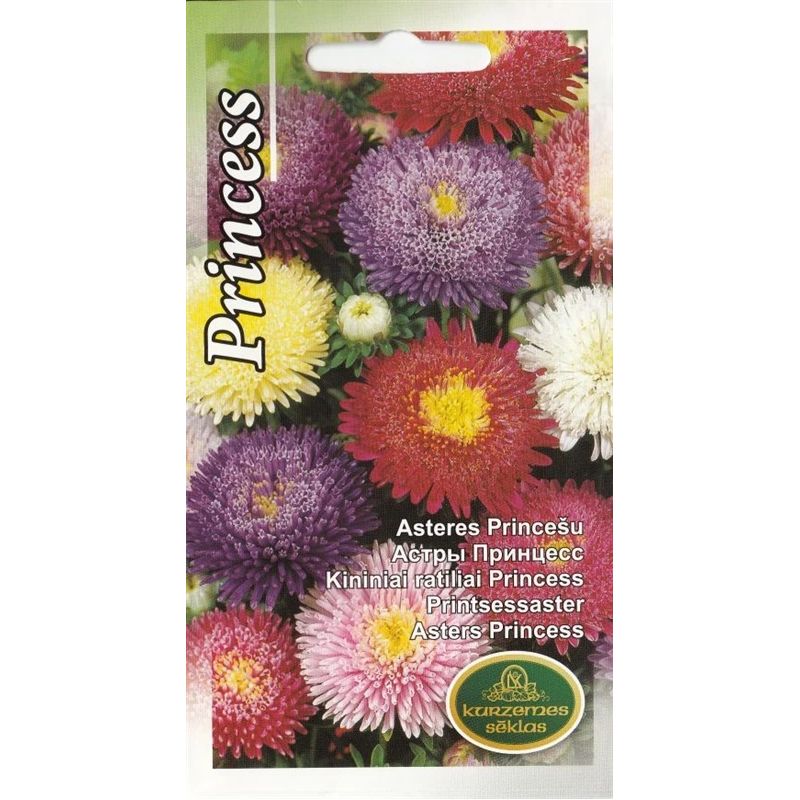 Sēklas astres princešu jauktās