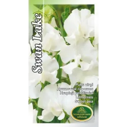 Sēklas Kurzemes sēklas viengadīgās Swan Lake, 5 g