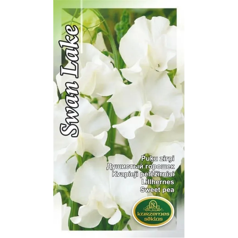 Sēklas Kurzemes sēklas viengadīgās Swan Lake, 5 g