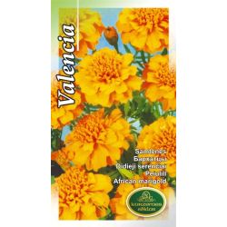 Sēklas samtenes valencia