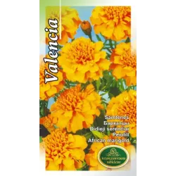 Sēklas Kurzemes sēklas samtenes Valencia, 4 g