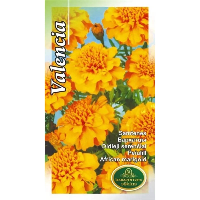 Sēklas Kurzemes sēklas samtenes Valencia, 4 g