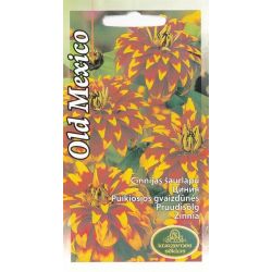 Sēklas cinnijas old mexico