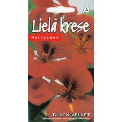 Sēklas kreses black velvet