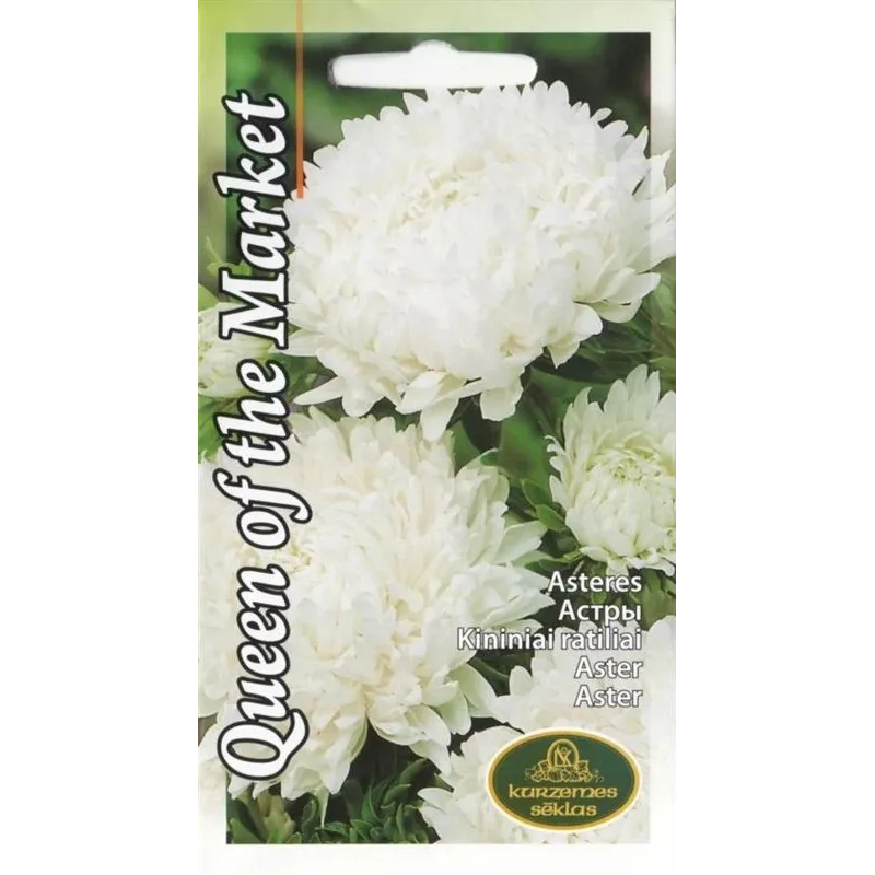 Sēklas asteres Queen Of The Market, 0.5 g