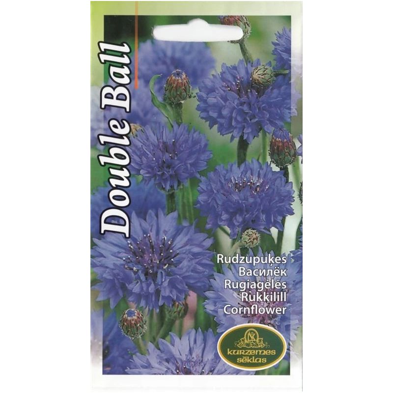 Sēklas rudzupuķes blue ball