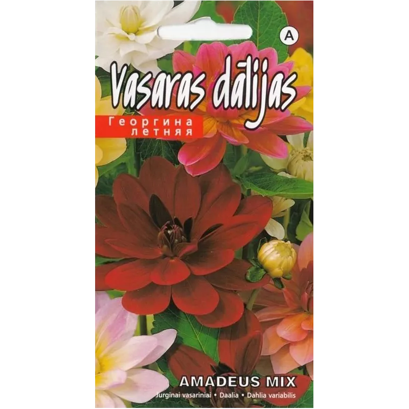 Sēklas dālijas Amadeus Mix, 3 g