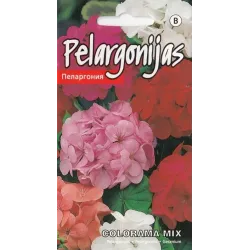 Sēklas Kurzemes sēklas pelargonijas Colorama Mix, 3 g