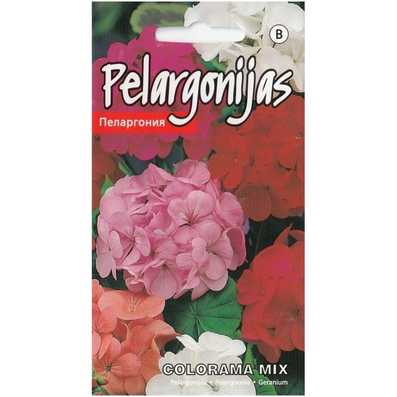 Sēklas pelargonijas colorama mix