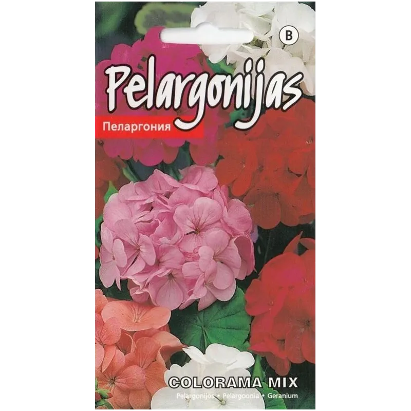 Sēklas Kurzemes sēklas pelargonijas Colorama Mix, 3 g