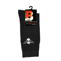 Zeķes vīriešu bisoks 12160 tumš 39-42