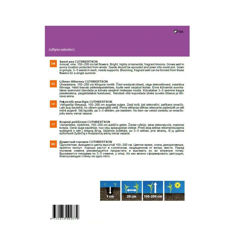 Sēklas puķu zirnīšu cuthbertson