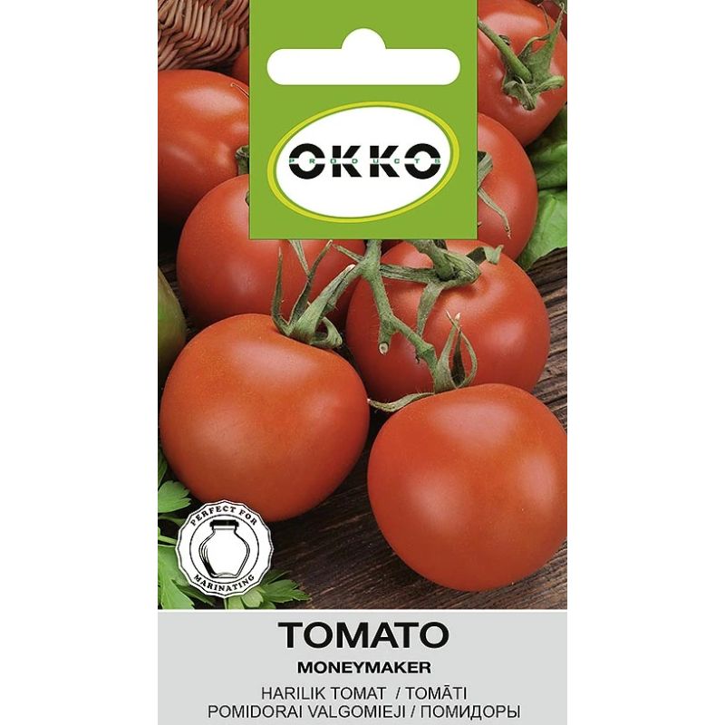 Sēklas tomāti moneymaker