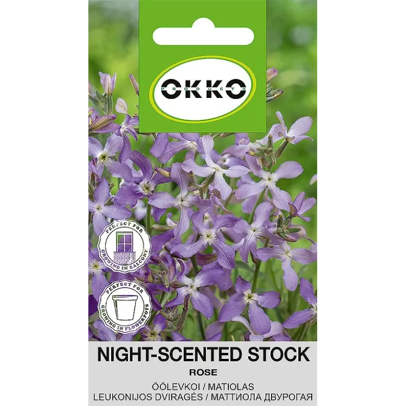 Sēklas Okko lefkojas Rose, 0.5 g