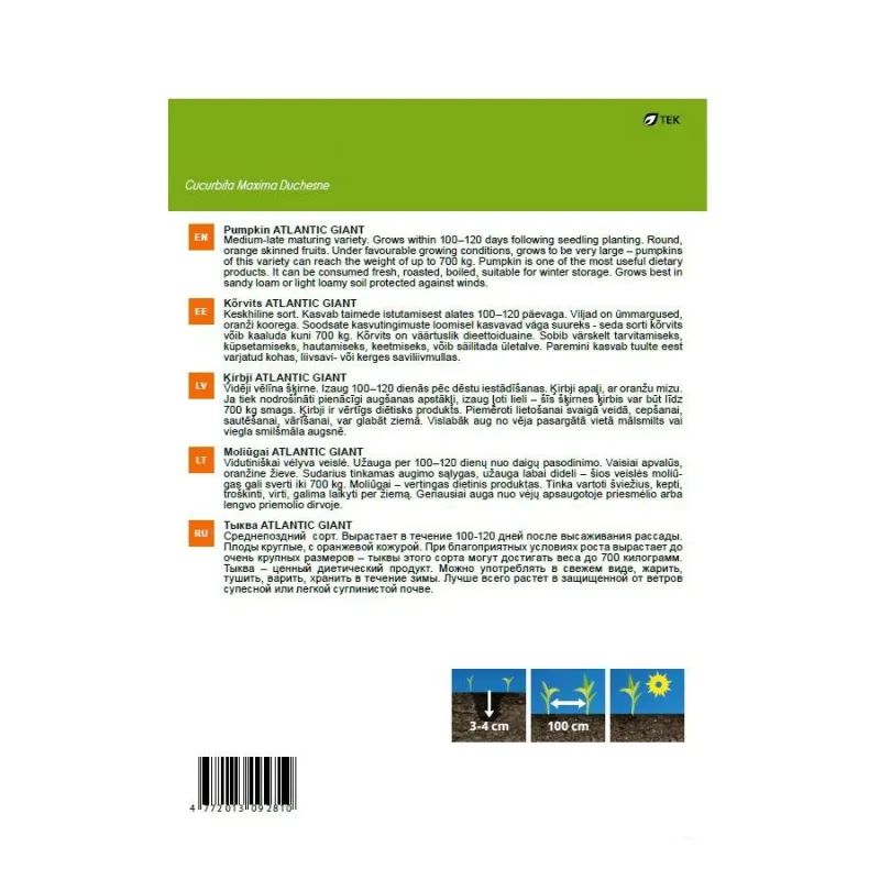 Sēklas Garden Center, ķirbis Atlantic Giant, 2 g