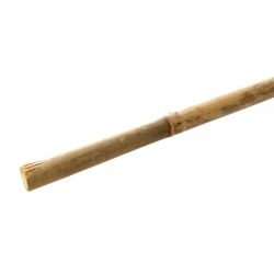 Atbalsts augu 150cm d6-8 bambusa