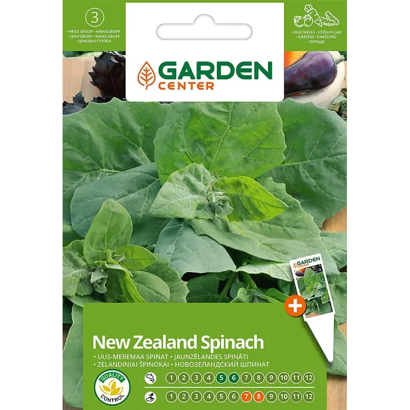Sēklas Garden Center, spināti New Zealand, 3 g