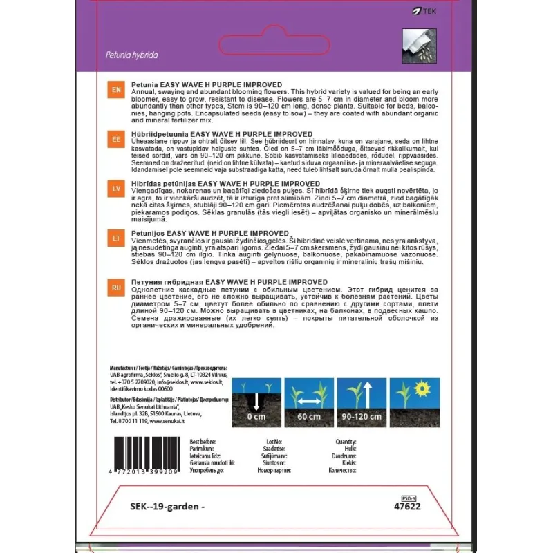 Sēklas Garden Center petūnijas WAVE H PURPLE, 7 g