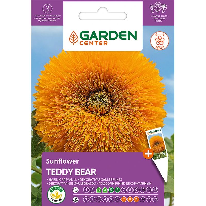 Sēklas ziedu saulespuķes teddy bear 2g