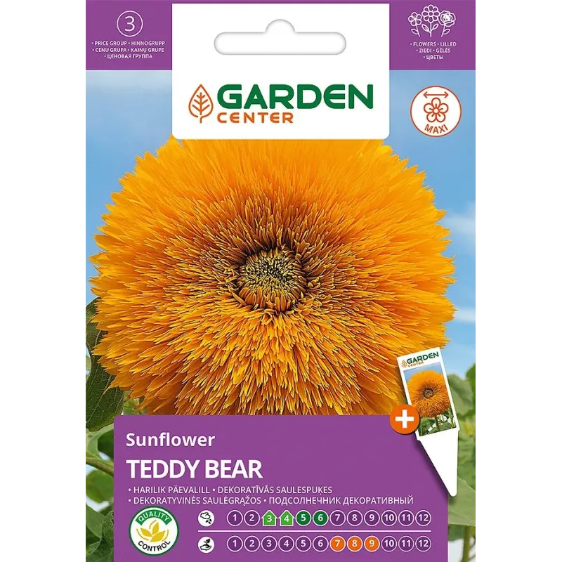 Sēklas Garden Center saulespuķes TEDDY BEAR, 2 g