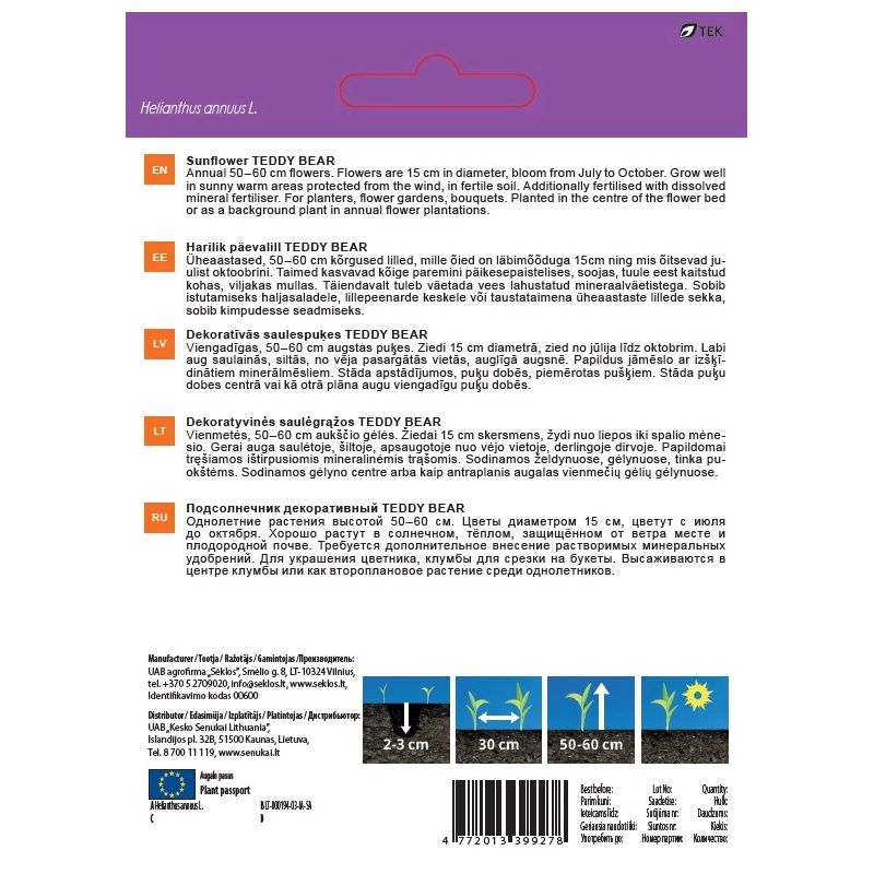 Sēklas ziedu saulespuķes teddy bear 2g