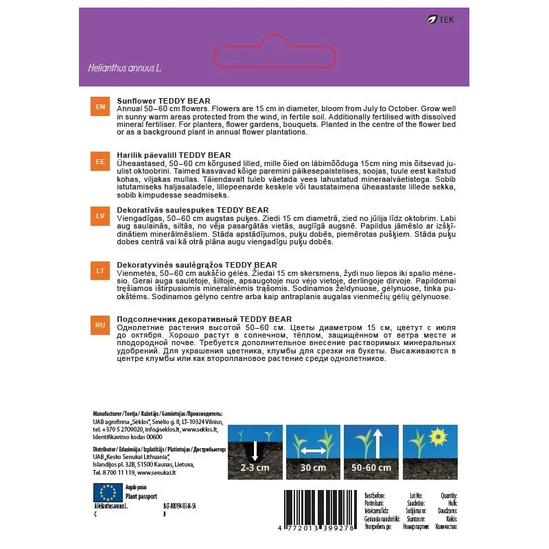 Sēklas Garden Center saulespuķes TEDDY BEAR, 2 g