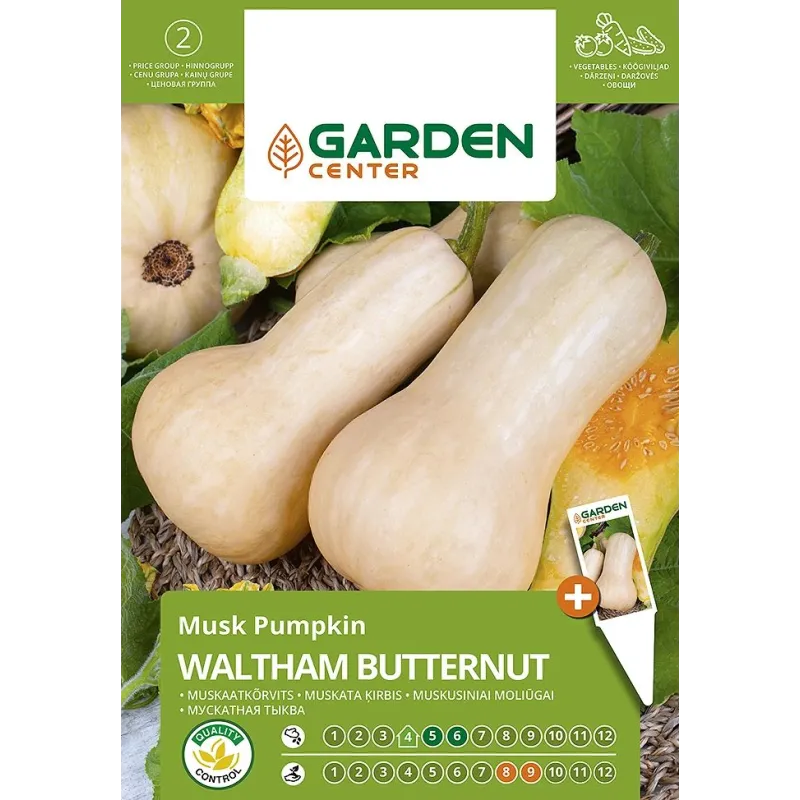 Sēklas Garden Center, ķirbis WALTHAM BUTTERNUT, 1 g