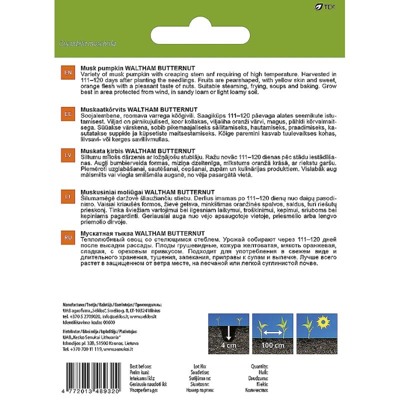 Sēklas dārzeņu ķirbja waltham butternut