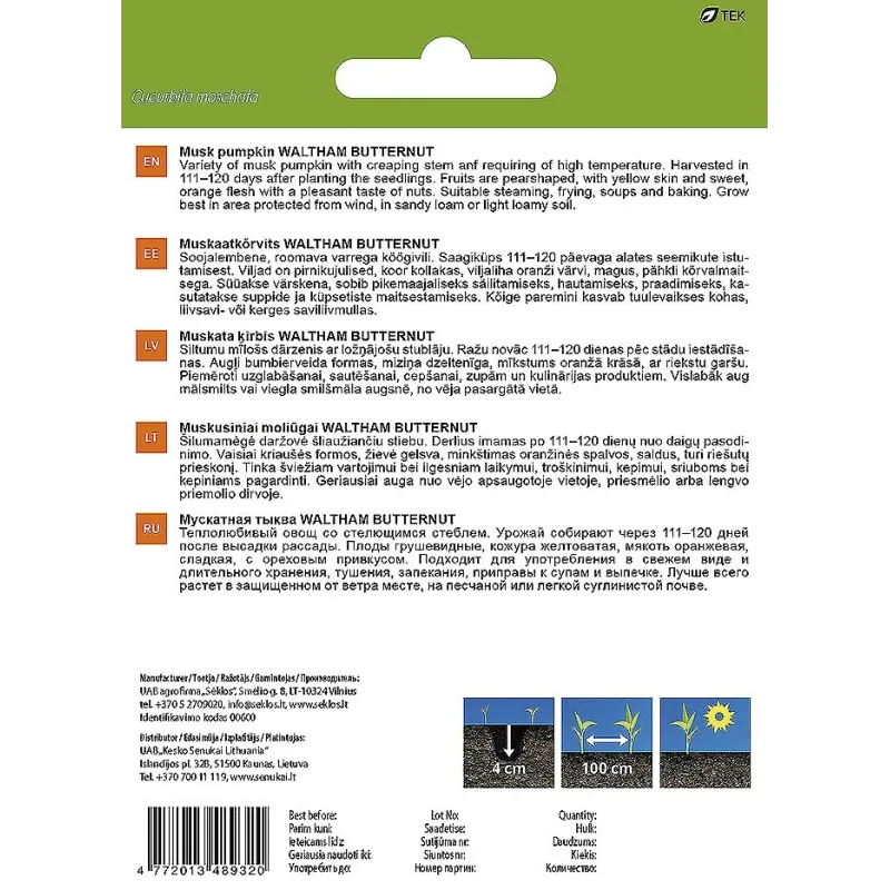 Sēklas Garden Center, ķirbis WALTHAM BUTTERNUT, 1 g