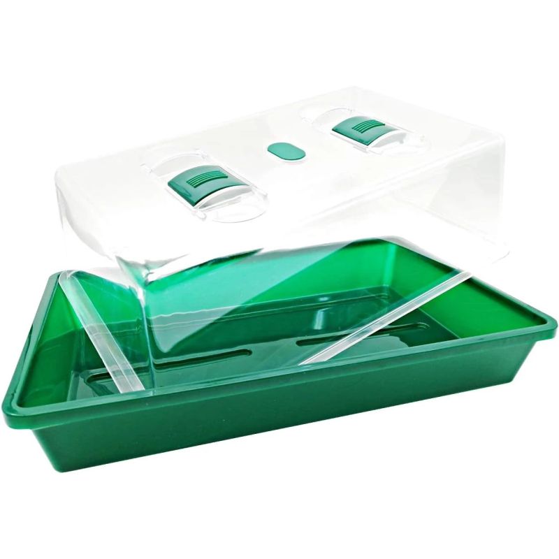 Dīgšanas siltumnīca 38x24x12cm zaļa