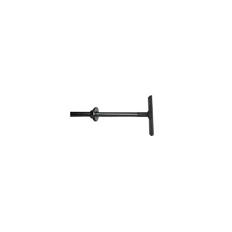 Stienis jumta konstr. m12x600mm zn