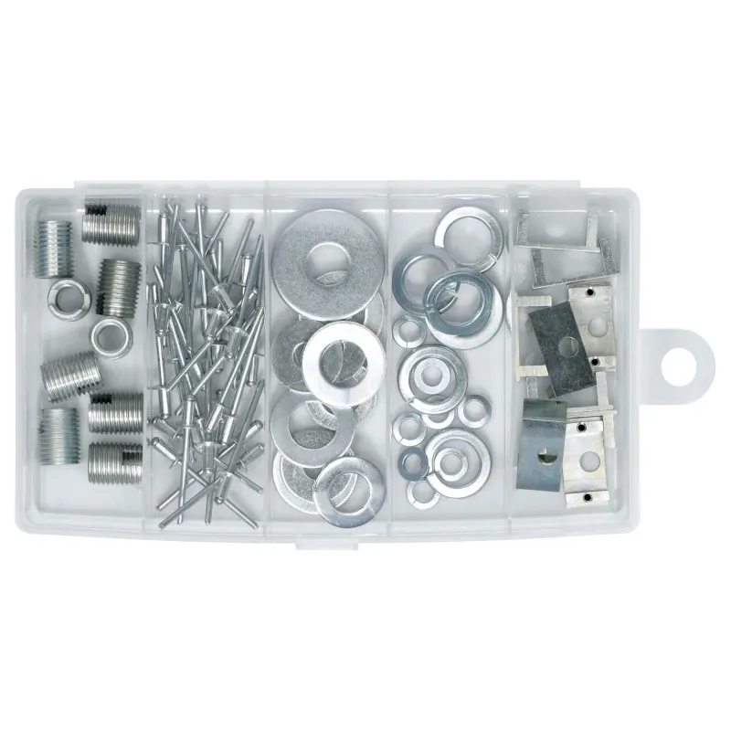 Instrumentu kaste, 19.8 cm x 11.7 cm x 4.5 cm, caurspīdīga krās.