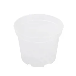 Gėlių vazonas Orchidea SBX4, plastikinis, skaidri sp.