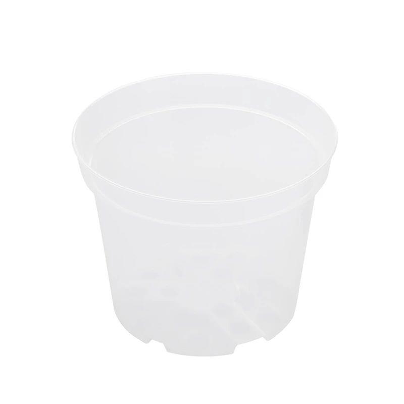 Puķu pods Orchidea SBX4, plastmasa, caurspīdīga krās.