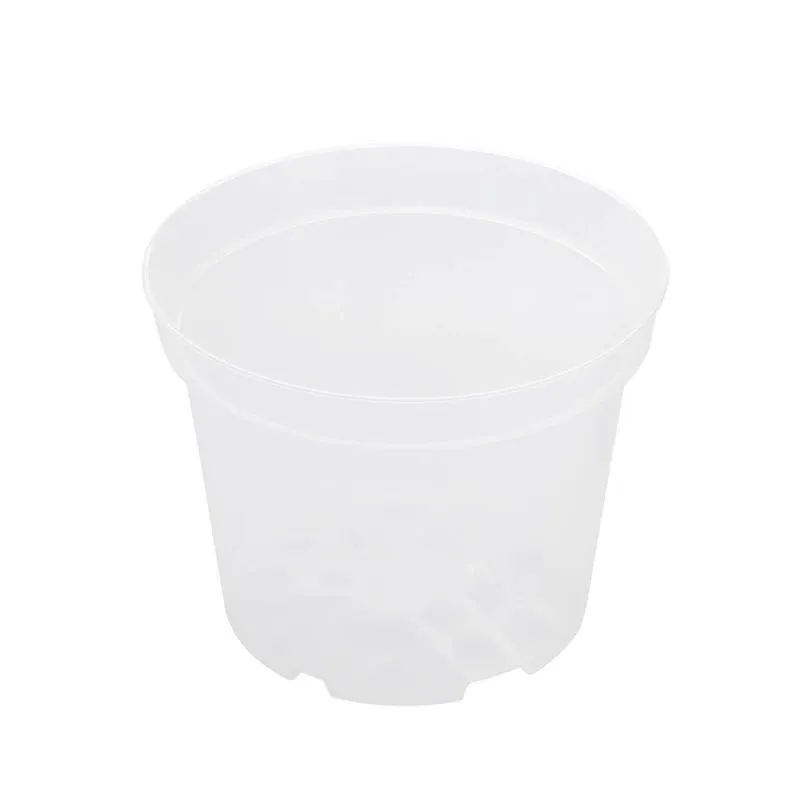 Puķu pods Orchidea SBX4, plastmasa, caurspīdīga krās.