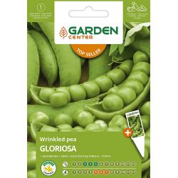 Sēklas zirņi gloriosa