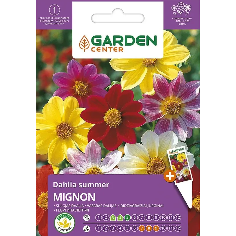 Sēklas Garden Center dālijas Mignon, 0.5 g