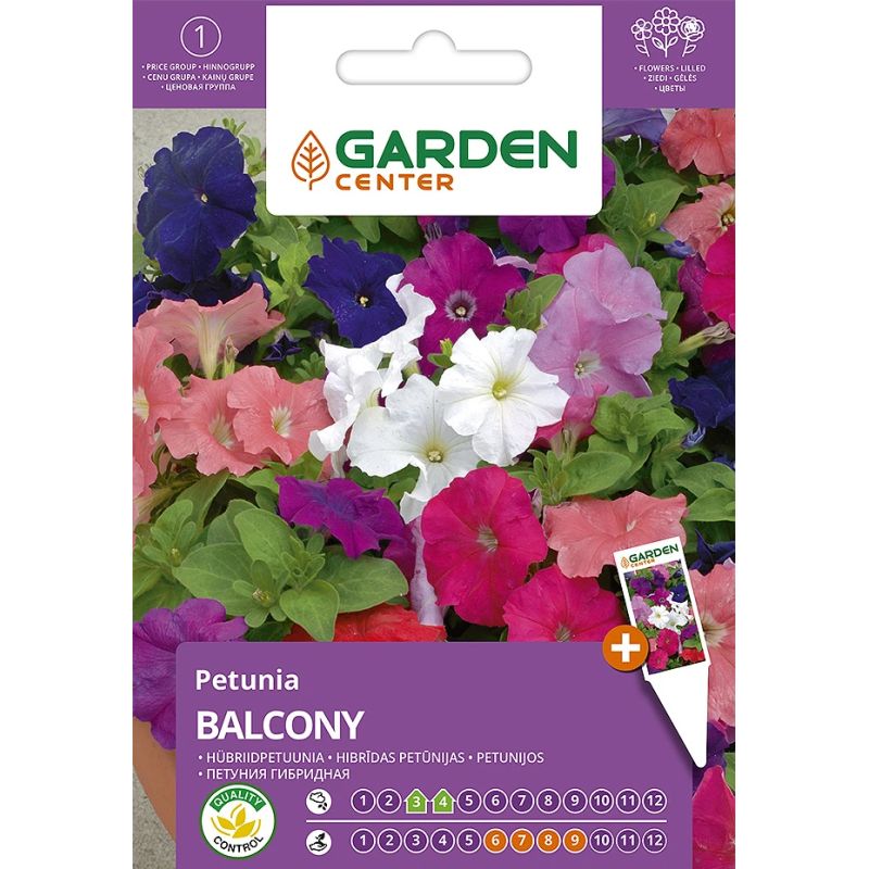 Sēklas zemo petūniju balcony