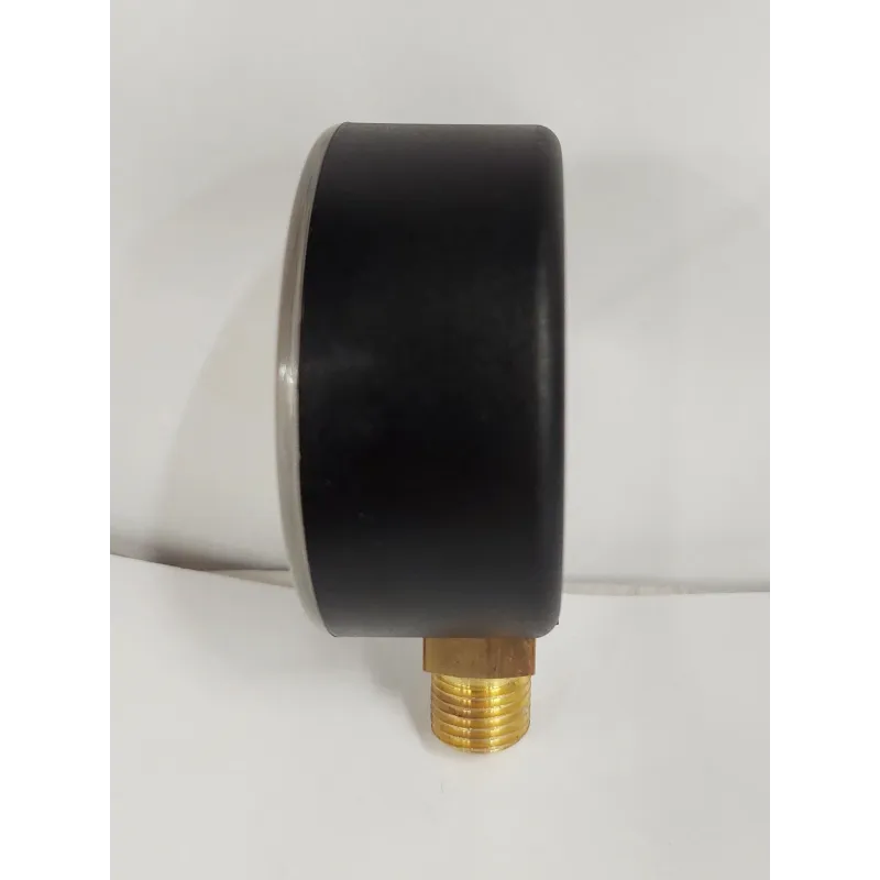 Manometrs Watts 10007714, 63 mm, 16 Bar