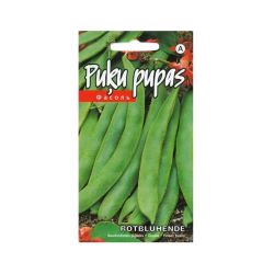 Puķu pupiņas rotbluhende