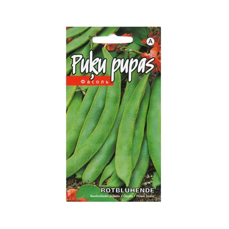 Puķu pupiņas rotbluhende